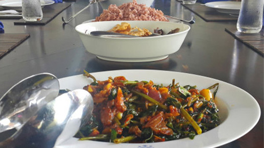 Would you Like to Stay in a Luxury Villa Thalpe