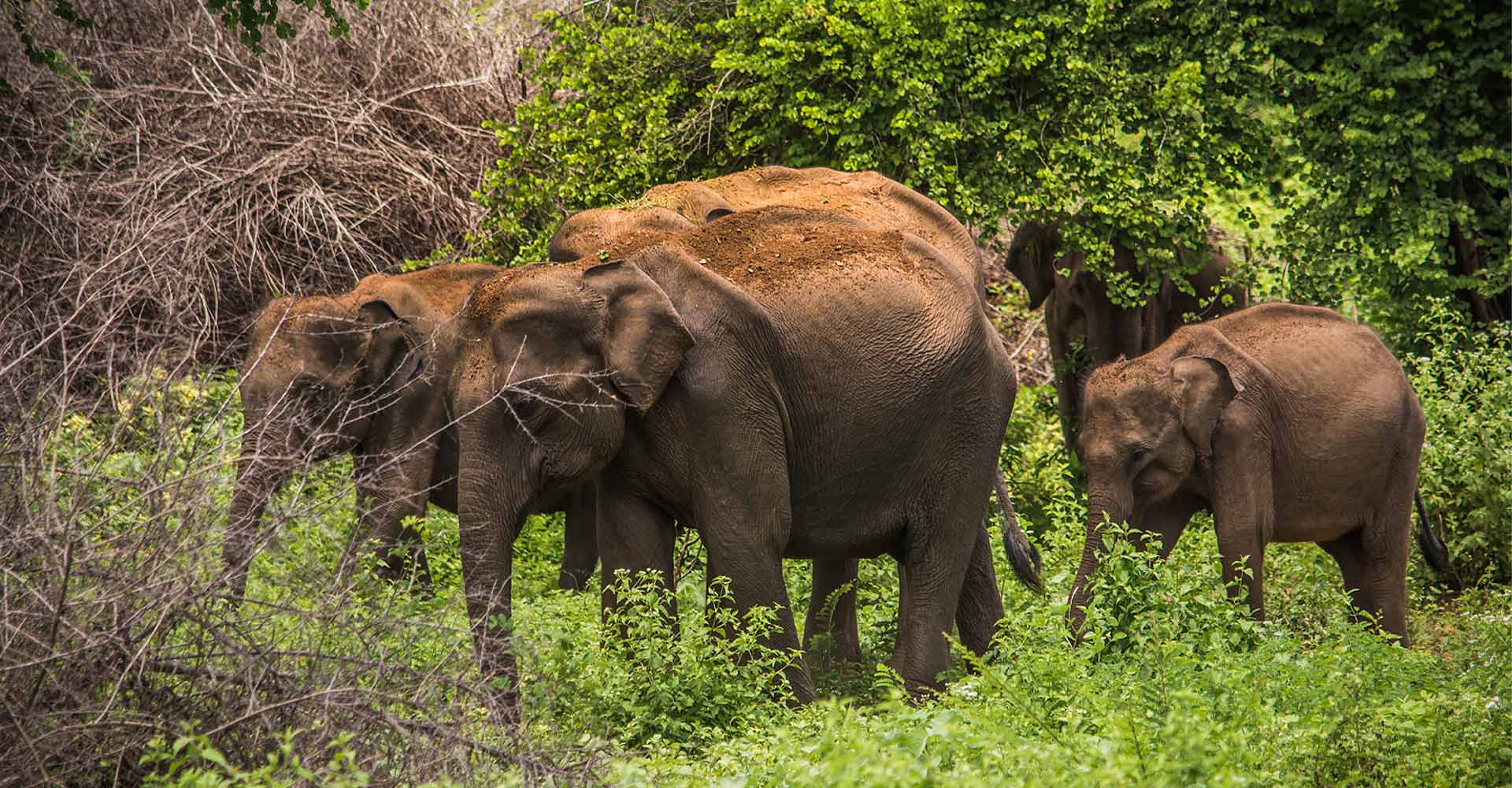 Udawalaww National Park
