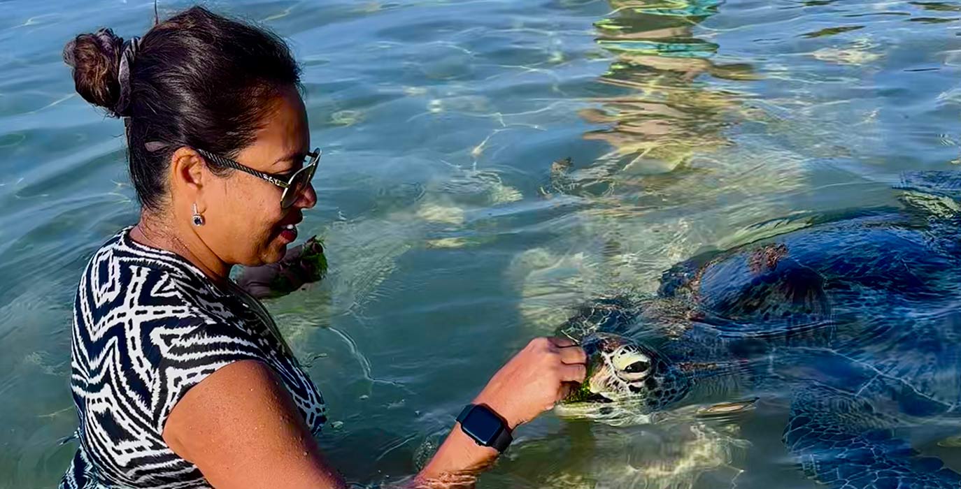 Swimming with and Feeding Turtles